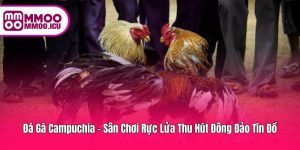 Đá Gà Campuchia – Sôi Động Và Thú Vị