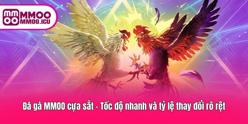 Trận cựa sắt đem lại cảm giác kịch tính, tỷ lệ cược thay đổi nhanh