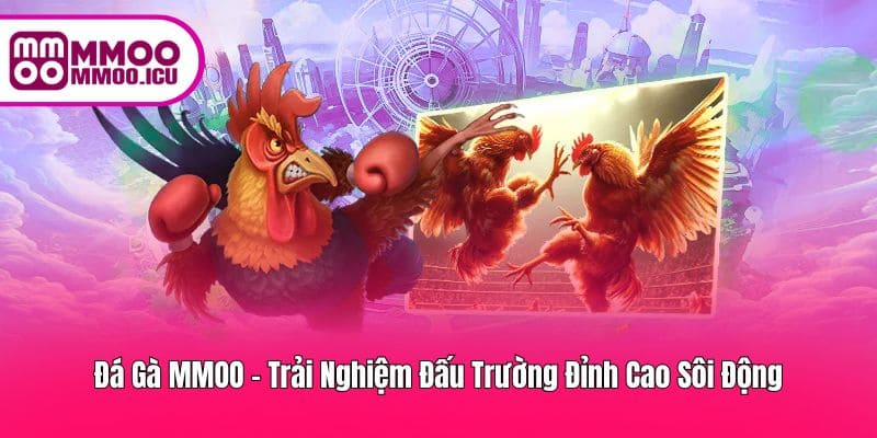 Đá Gà MMOO – Trận Đấu Cực Kịch Tính Cho Người Chơi