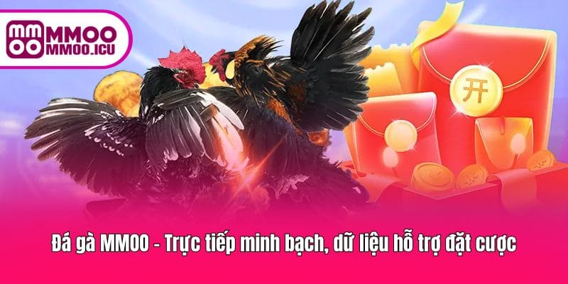 Theo dõi trận đấu trực tiếp với dữ liệu hỗ trợ đặt cược đầy đủ