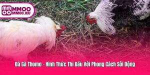 Đá Gà Thomo – Game Gà Gay Cấn
