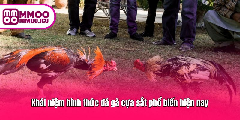 Cựa sắt là loại gà sử dụng cựa kim loại trong các trận đấu nhanh