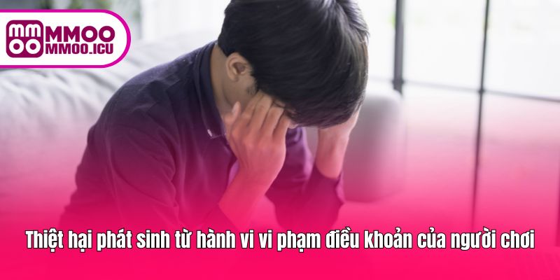 Hậu quả khi người dùng không tuân thủ các quy định