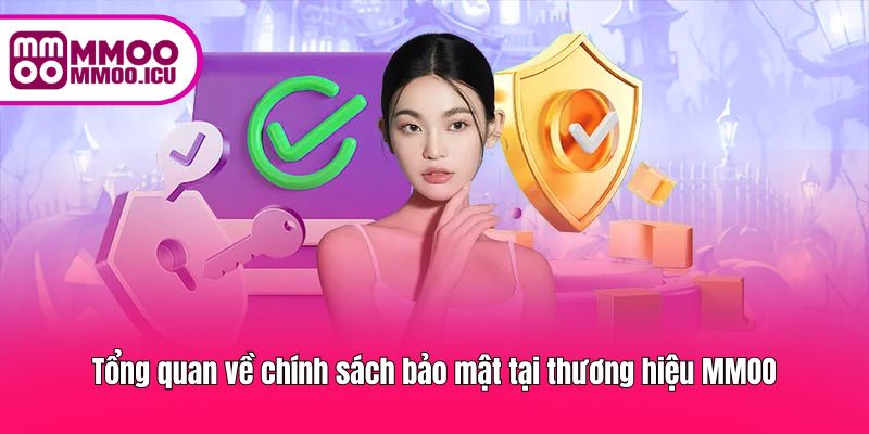 Giới thiệu tổng quan về chính sách bảo mật của MMOO