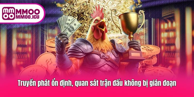 Đảm bảo chất lượng stream liên tục, không bị lag hay gián đoạn