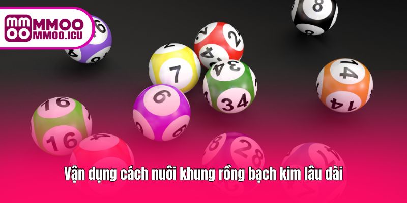 Vận dụng cách nuôi khung rồng bạch kim lâu dài